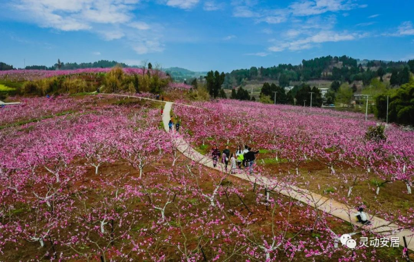 湖光山色 安逸安居｜田园休闲好去处——桃醉拦江