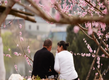 “花香安居.桃醉拦江”乡村文化旅游季活动