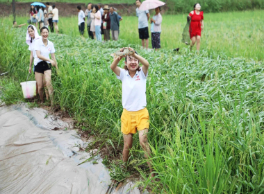 琼江乡村体验游—趣味垂钓活动